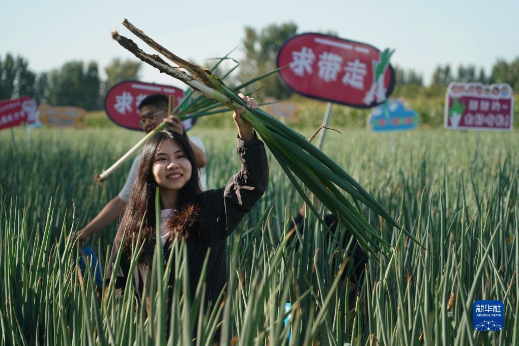 宝马娱乐在线城