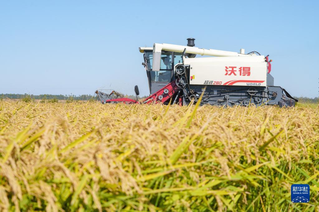 泊利娱乐